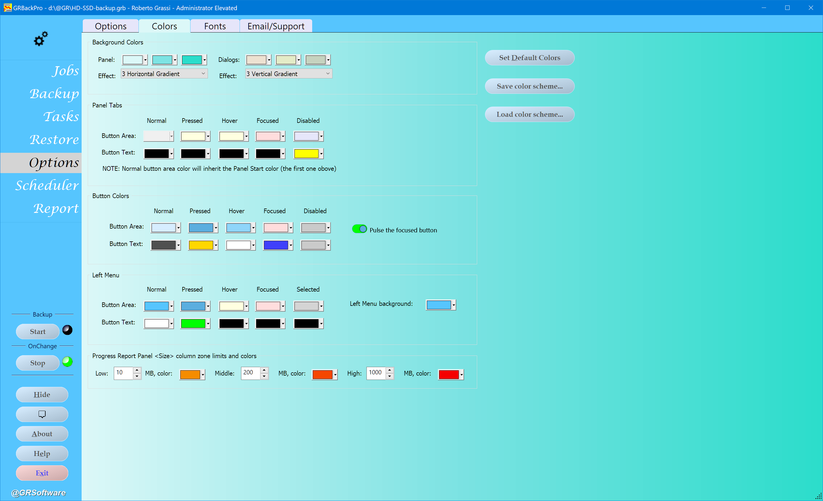 Backup Software Options dialog image