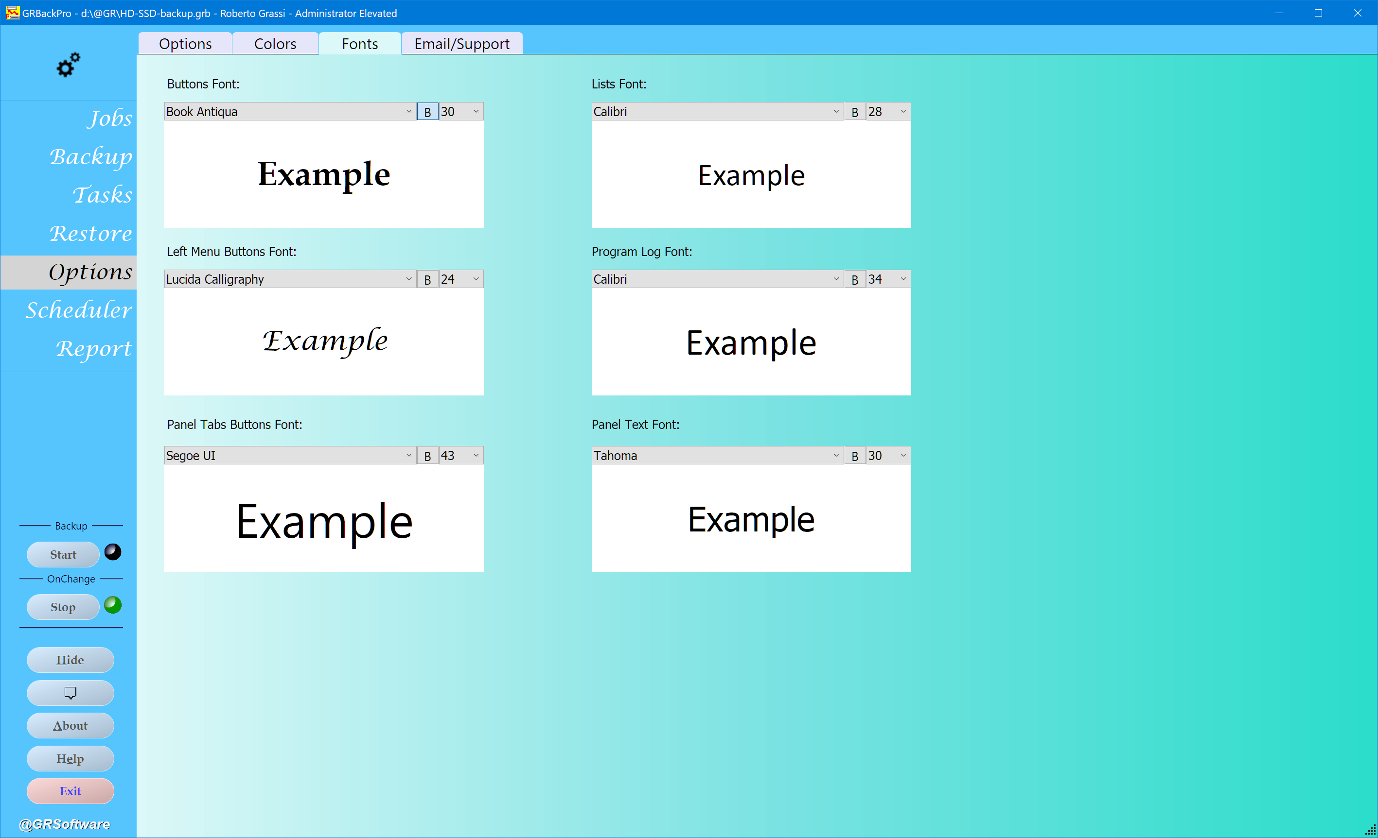 Backup Software Options dialog image